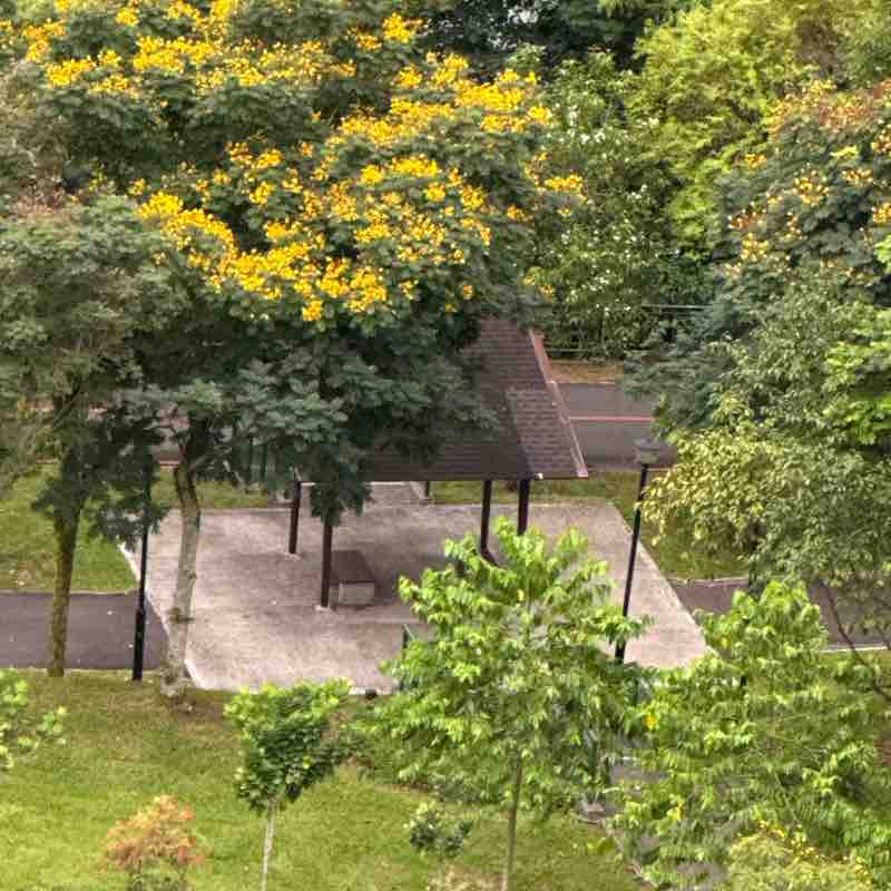 ⚡️A J⚡️ post 1