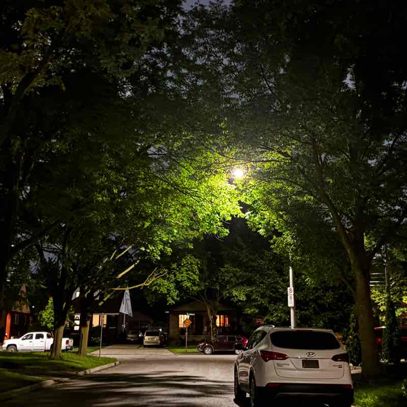 WINDSOR ONTARIO WALKERS  Jonathan post image