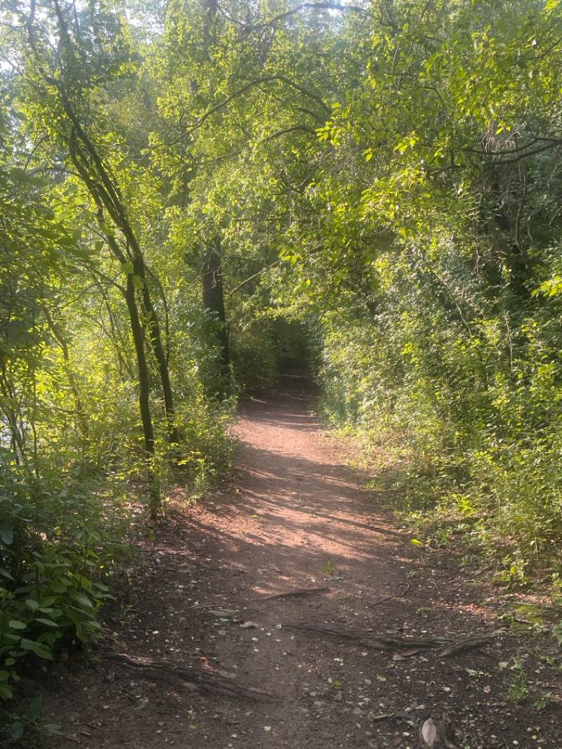 walking near me in Menomonee River Parkway in summer