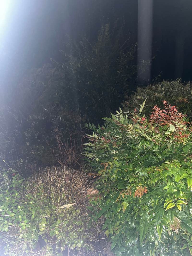 walking near me in Tubby's Trail Park in autumn