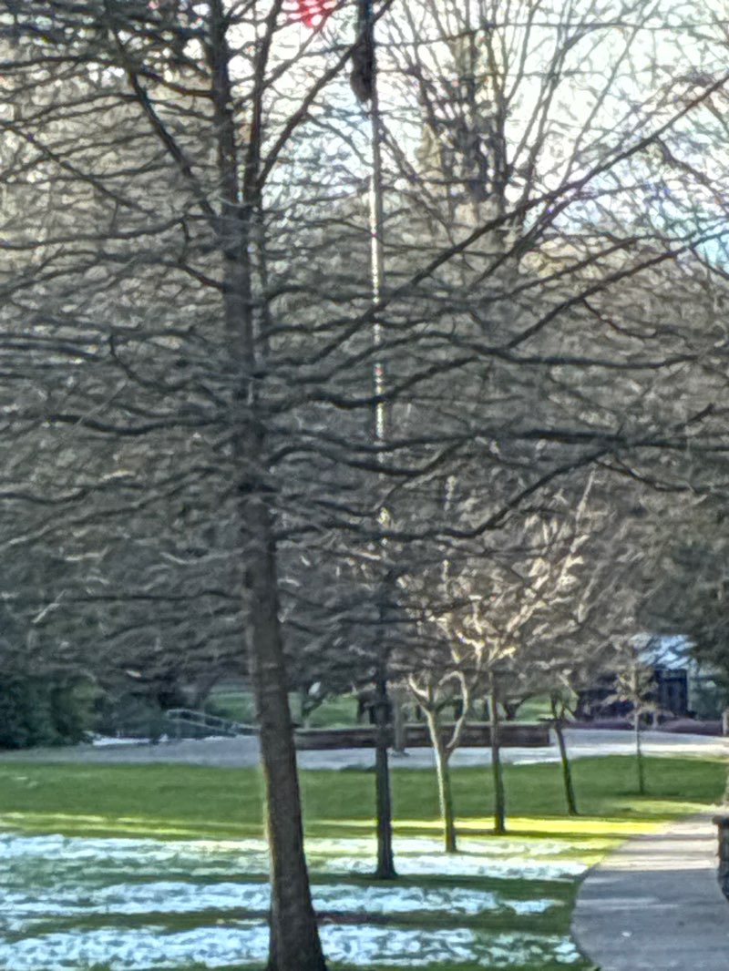 walking near me in War Memorial Park in spring