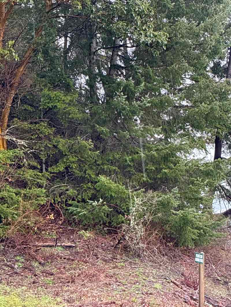 walking near me in Narrows Park in spring