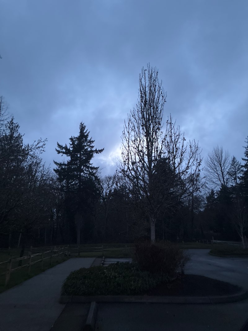 walking near me in Westside Neighborhood Park in spring