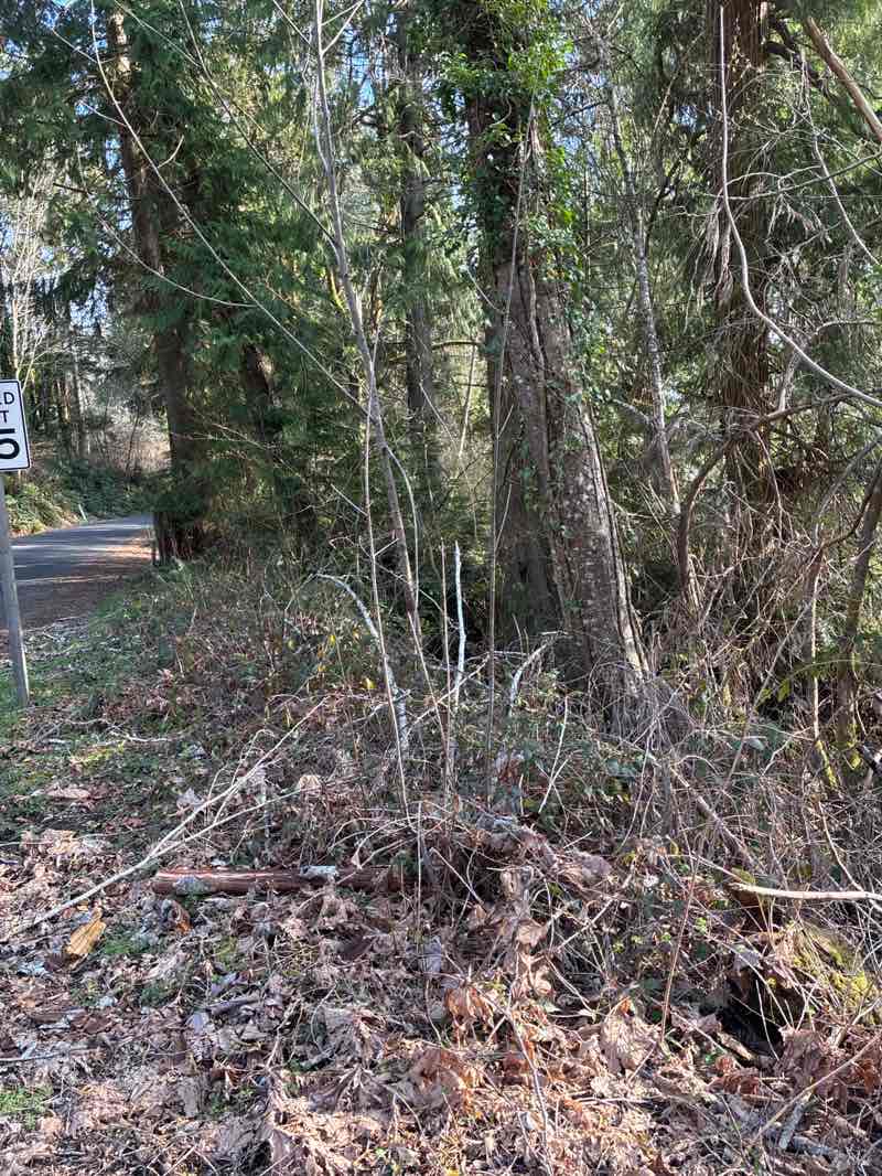 walking near me in Wollochet Bay Estuary in spring