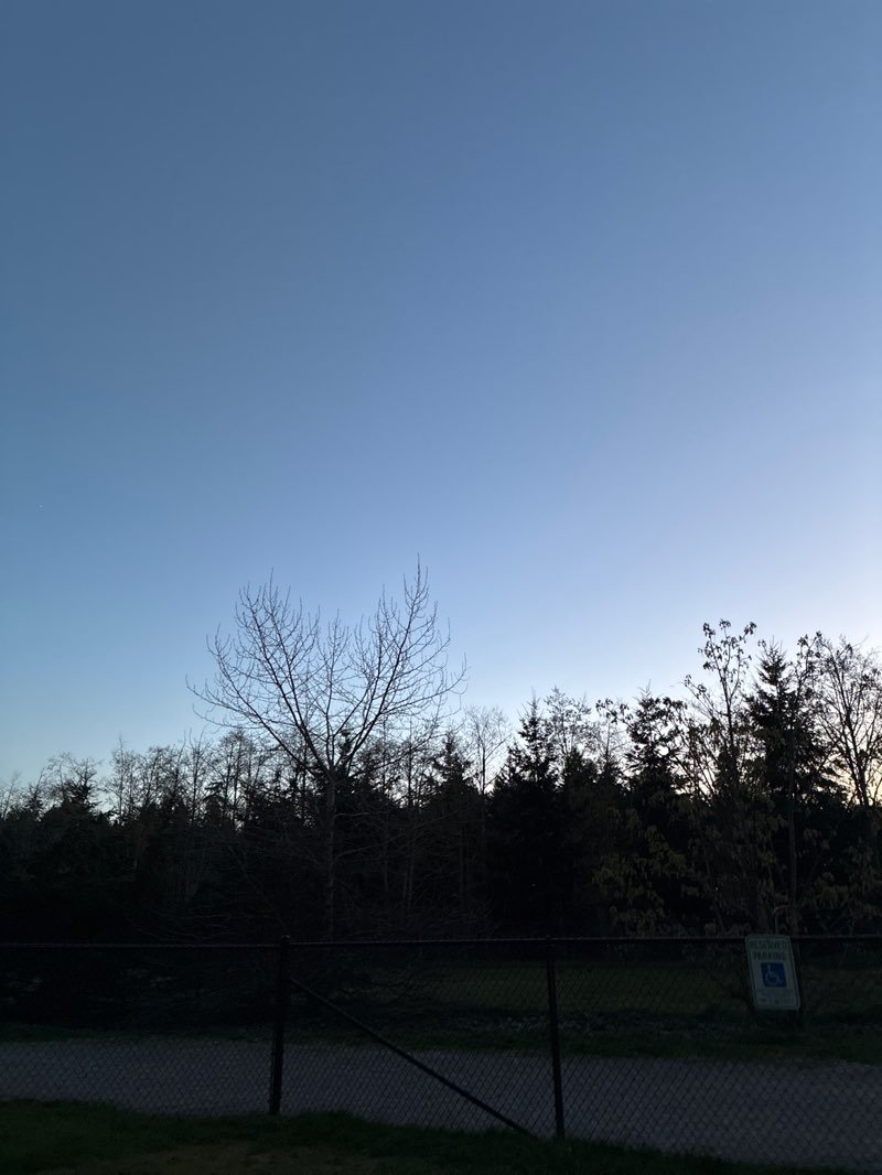 walking near me in Tubby's Trail Park in spring