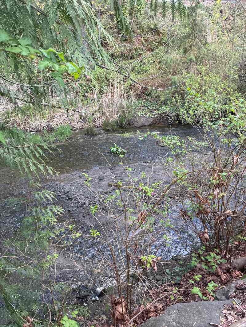 walking near me in Donkey Creek Park in spring
