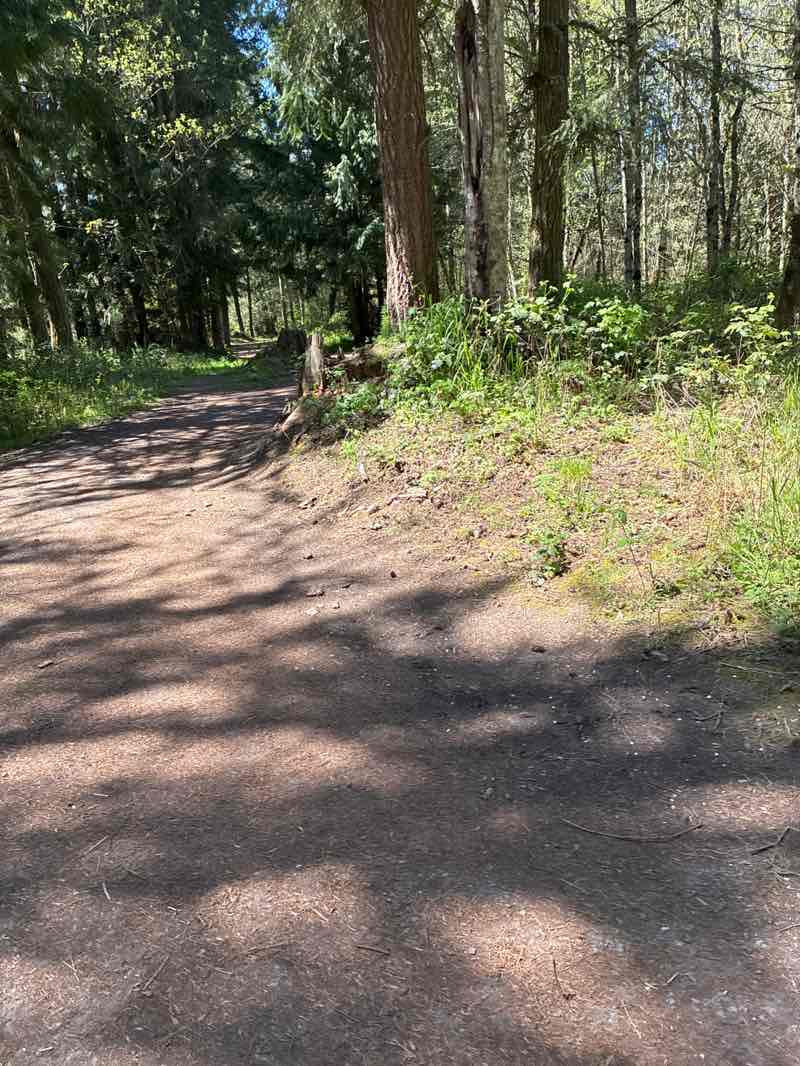 walking near me in Smallwood Park in spring
