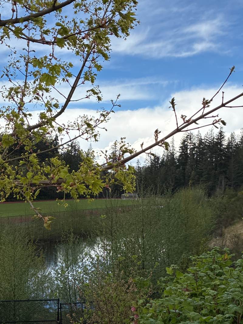 walking near me in Peninsula Recreation Area in spring