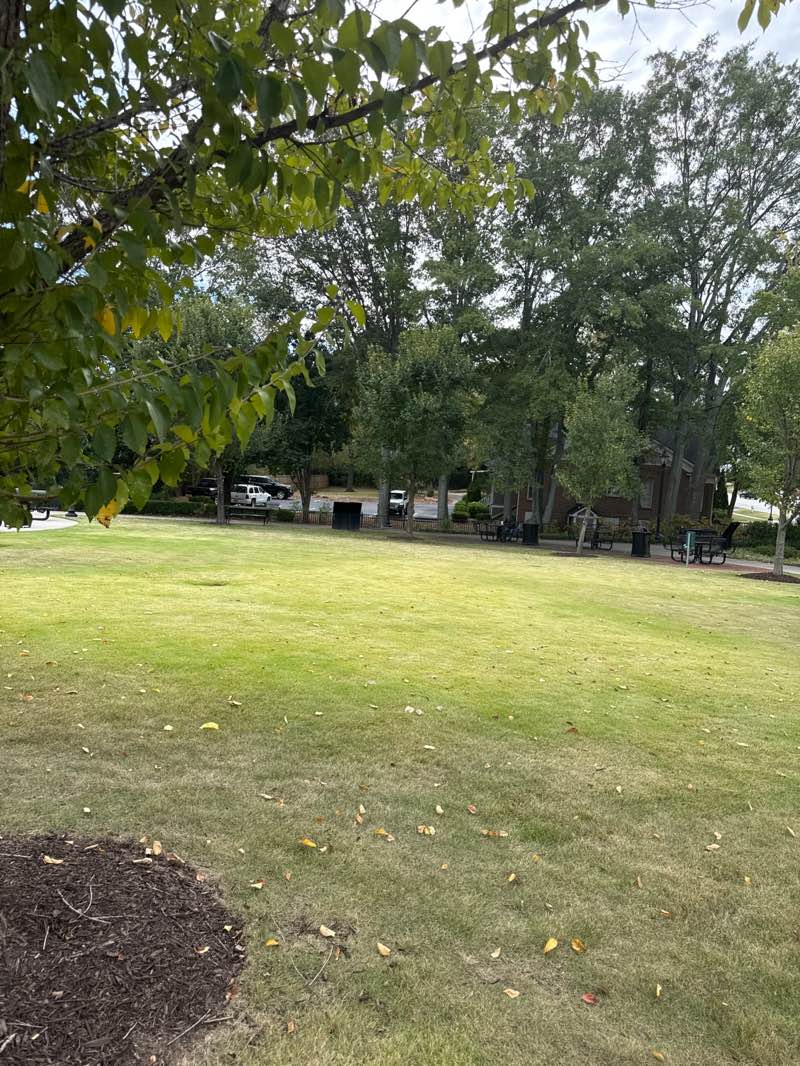 walking near me in Gwinnett County Bicentennial Plaza in autumn