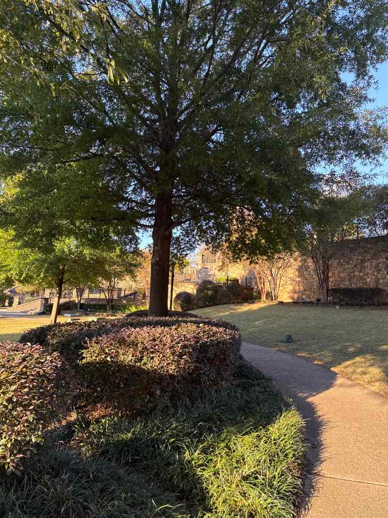 walking near me in Lilian Webb Park in autumn