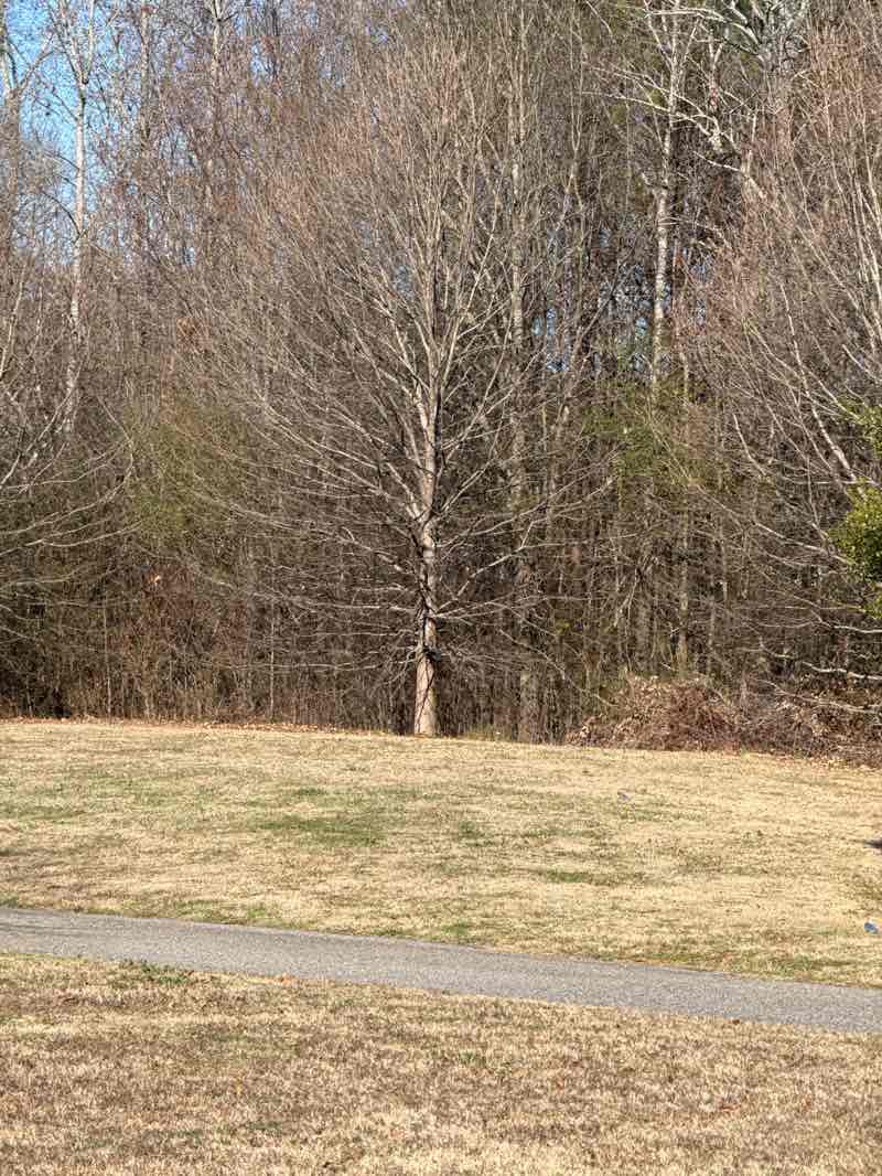 walking near me in J. B. Williams Park in winter