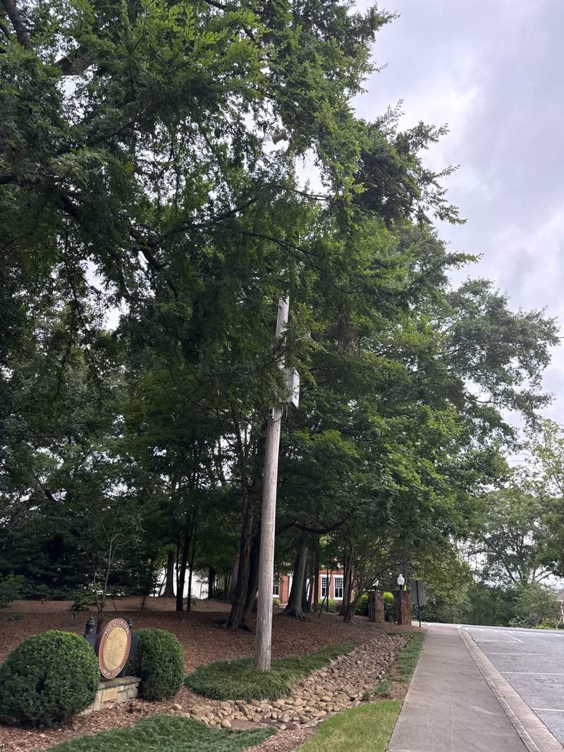 walking near me in Thrasher Park in summer