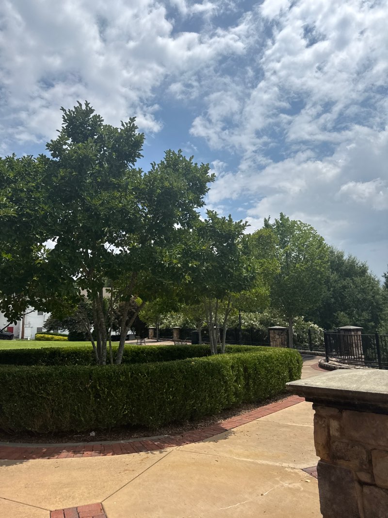 walking near me in Lilian Webb Park in summer