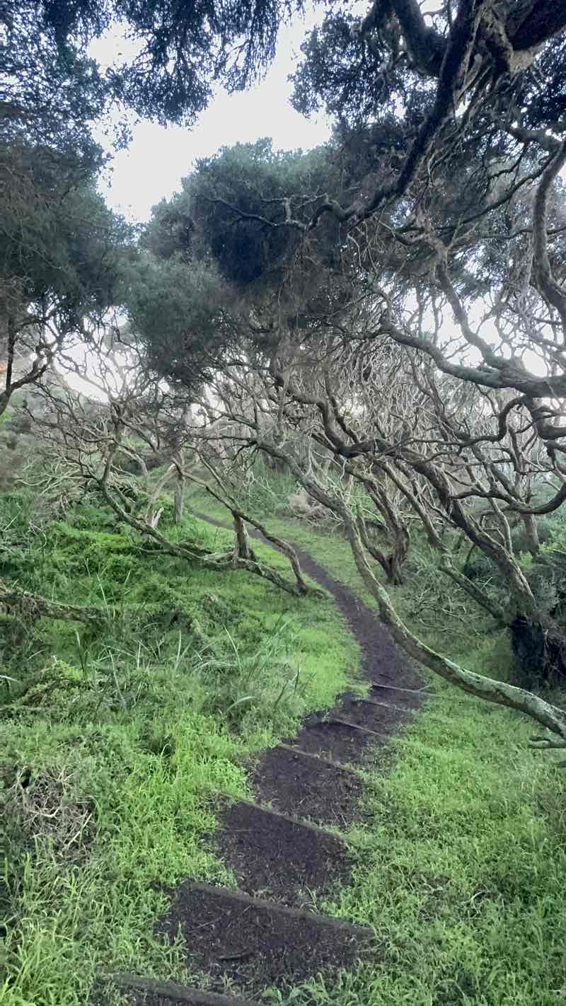 walking near me in Discovery Bay Coastal Park in winter