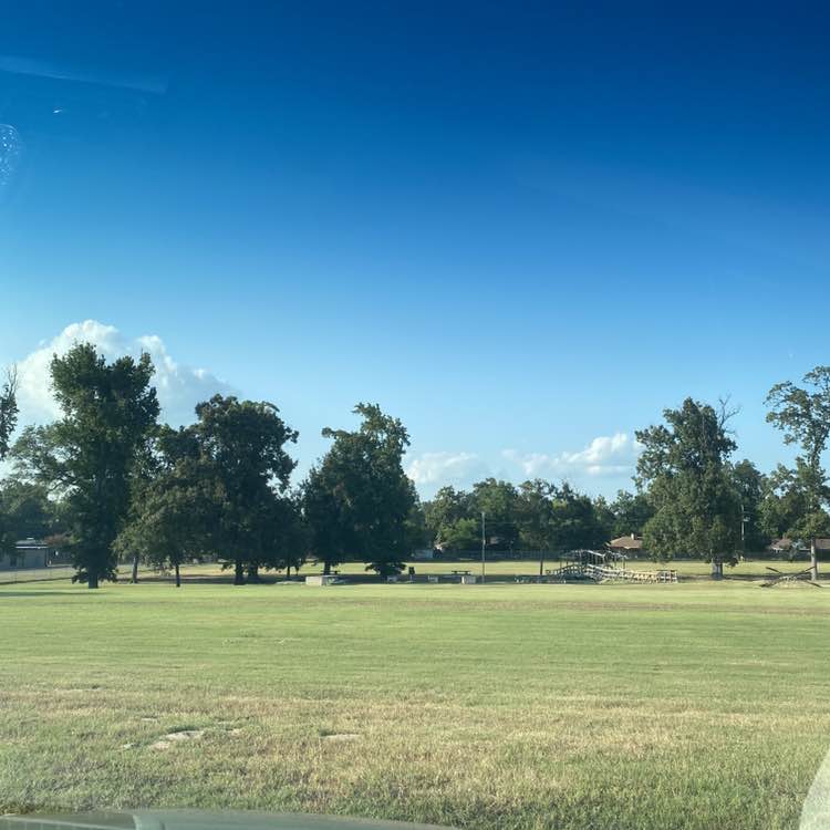 stacey.collum post 1