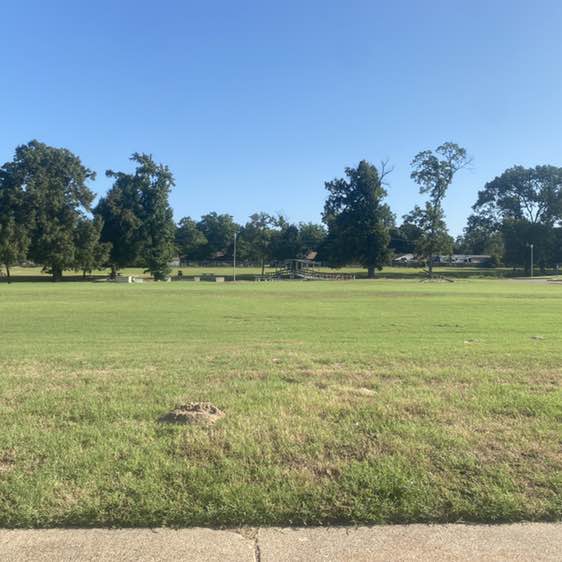 stacey.collum post 1