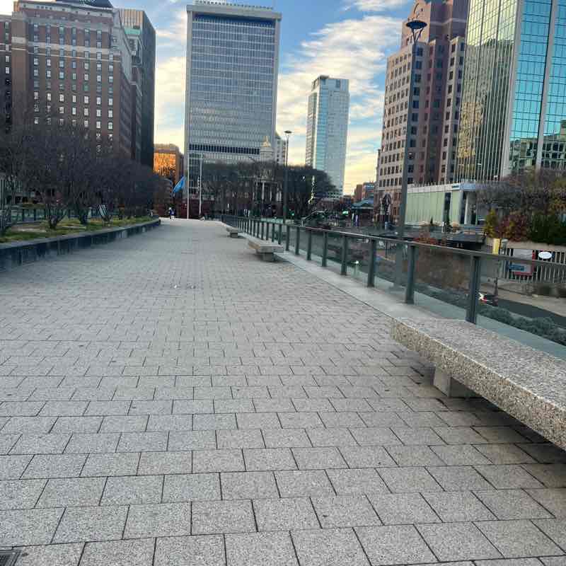 Sri Yellapragada post 1