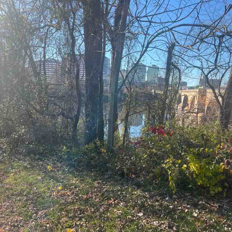 Sri Yellapragada post 1