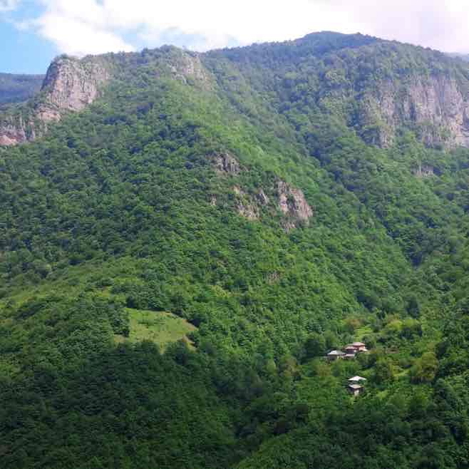 walking for health walking for health post image