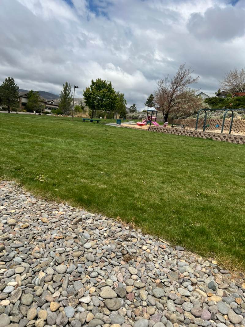 walking near me in South Sunridge Park in spring