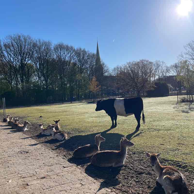 Arman Harijanto post 1