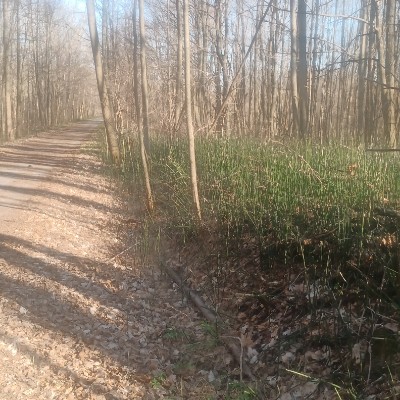 Bim 🇨🇦🪖 🇺🇦 post 2