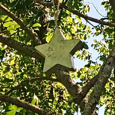 Bim 🇨🇦🪖 🇺🇦 post 1