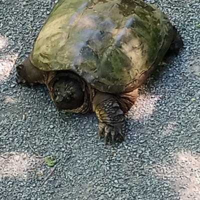 Bim 🇨🇦🪖 🇺🇦 post 2