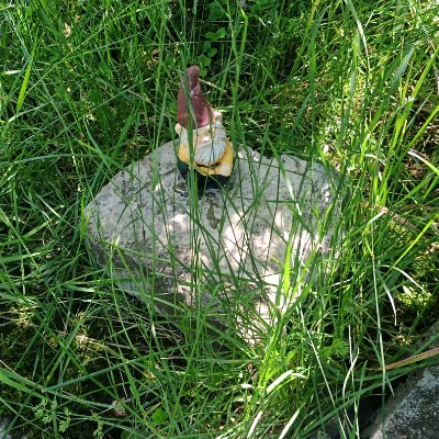 Bim 🇨🇦🪖 🇺🇦 post 3