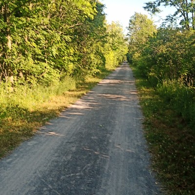 Bim 🇨🇦🪖 🇺🇦 post 2