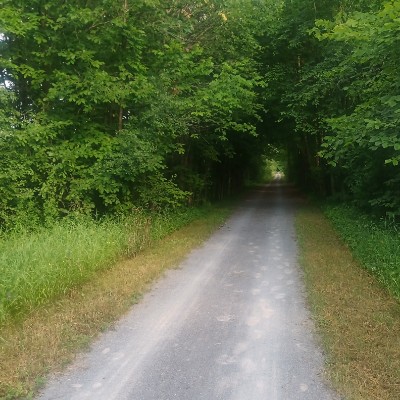 Bim 🇨🇦🪖 🇺🇦 post 2