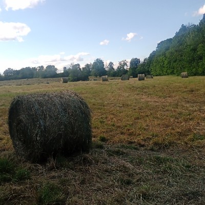 Bim 🇨🇦🪖 🇺🇦 post 3