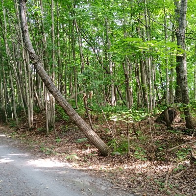 Bim 🇨🇦🪖 🇺🇦 post 3