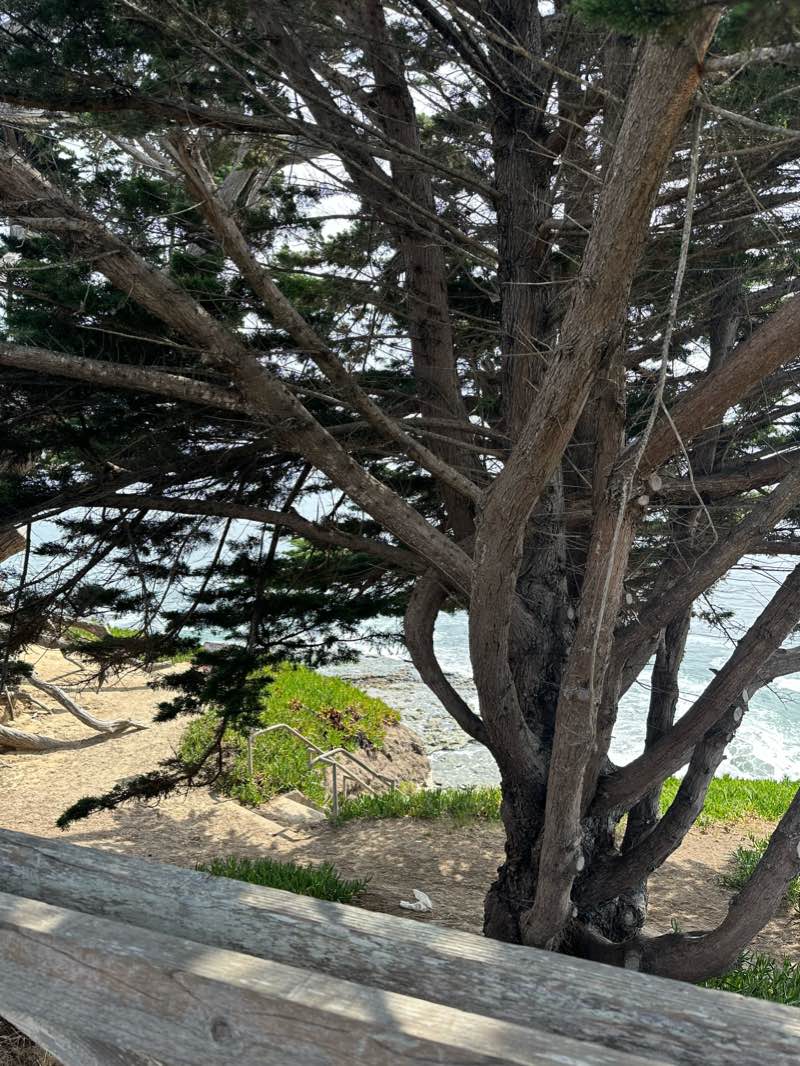 walking near me in Cliff Drive Open Space in winter