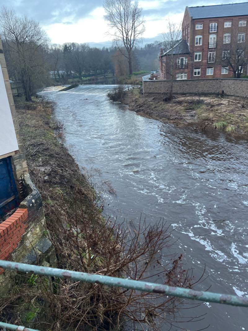 walking near me in Carlisle Park in winter