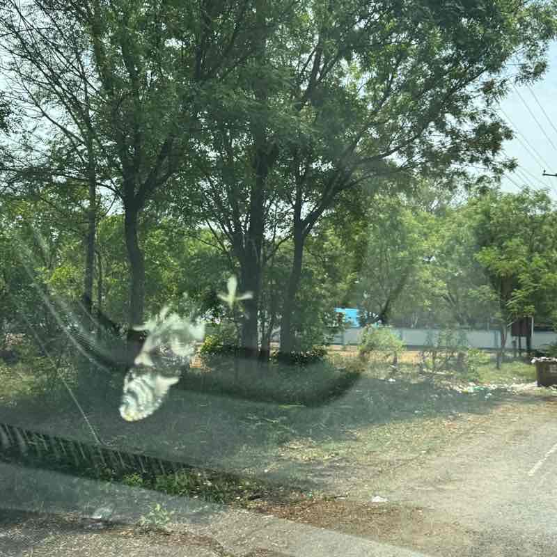 Shashidhar Reddy post 2