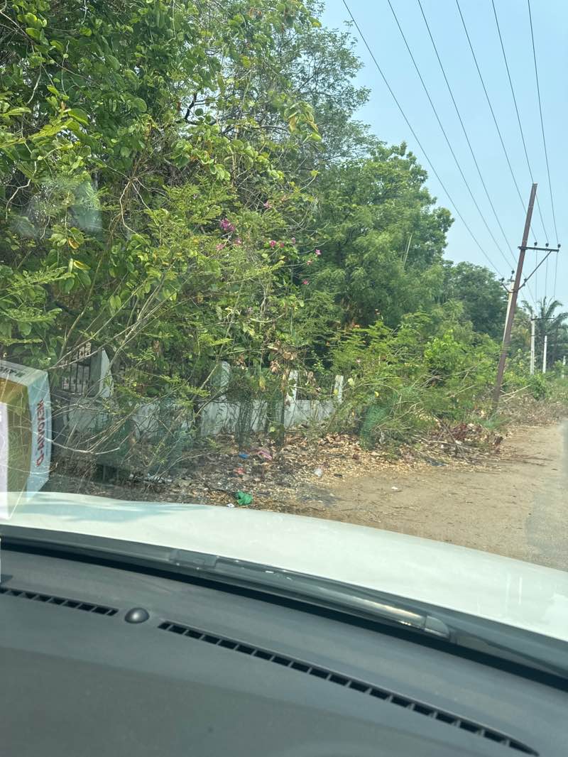 walking near me in Ujwala Park in spring