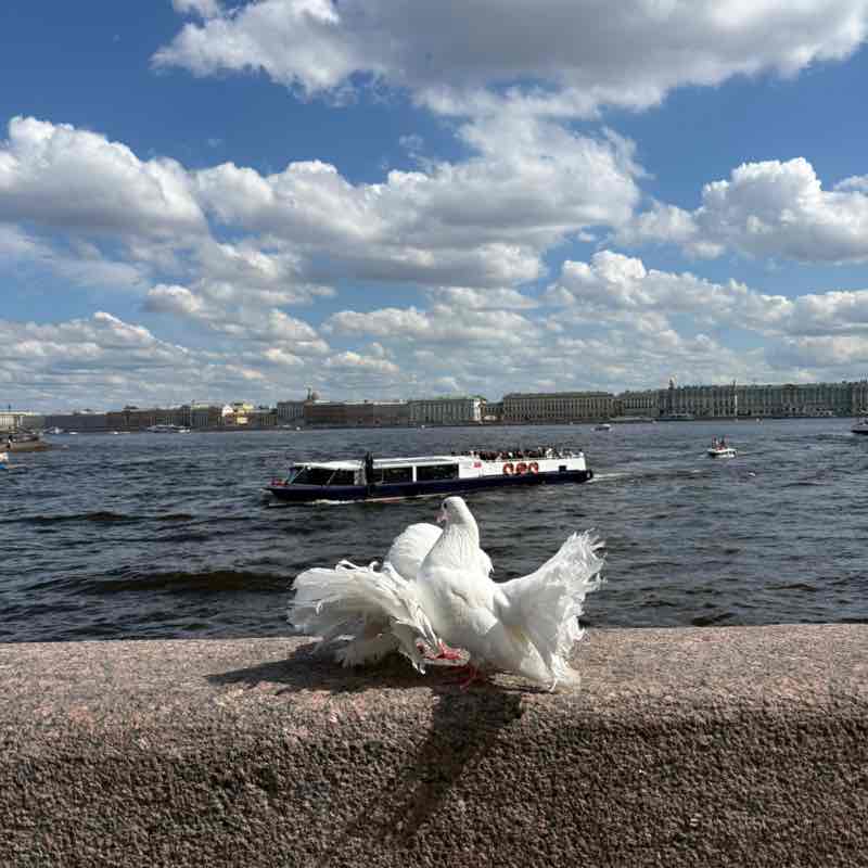 Мария К post 2