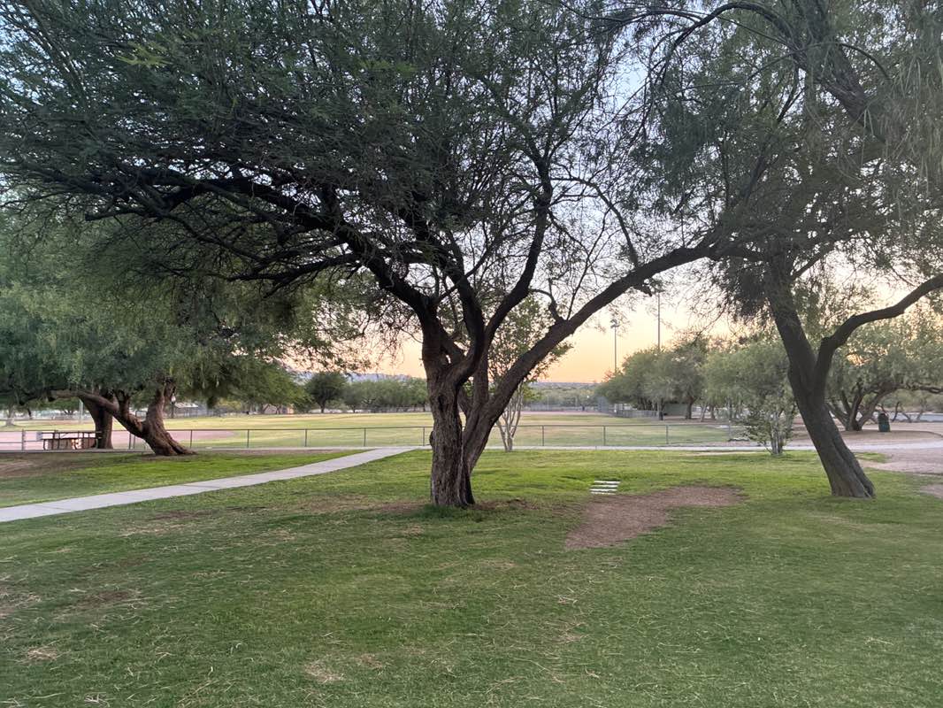 walking near me in James D. Kriegh Park in summer