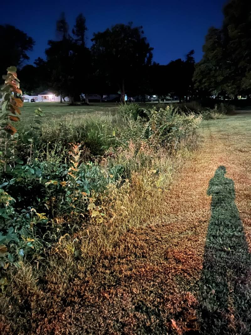 walking near me in Hillsdale Park in autumn