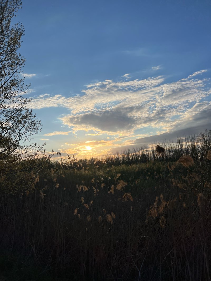 walking near me in Parc Avangarde in winter
