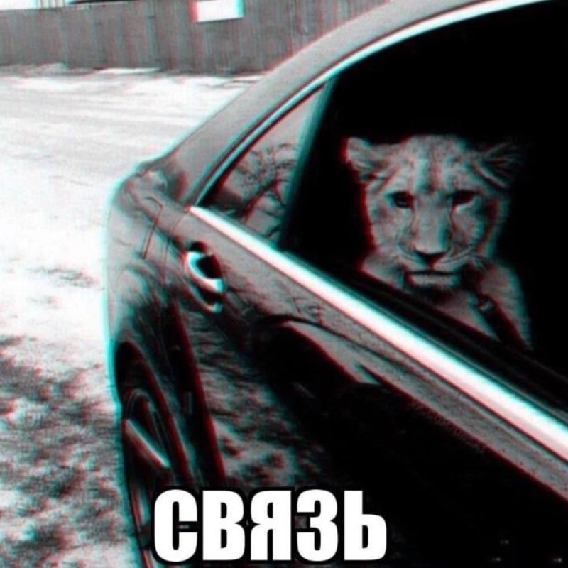 Вадим
