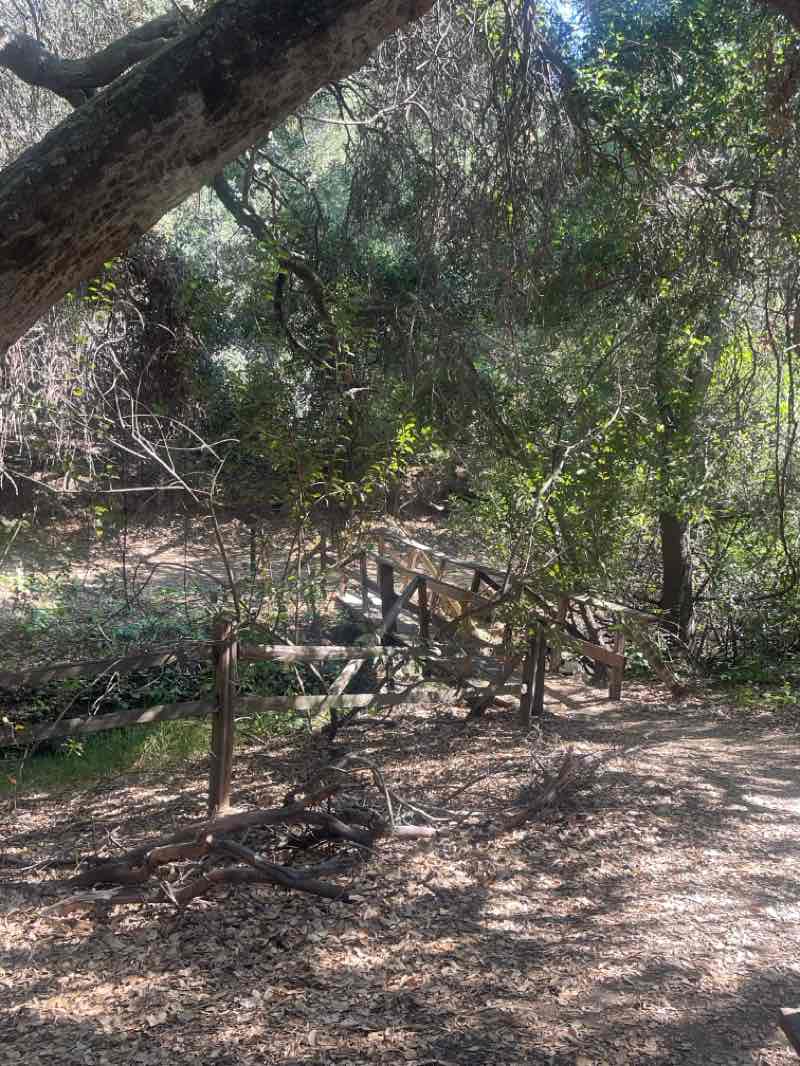 walking near me in Oak Canyon Nature Center in spring