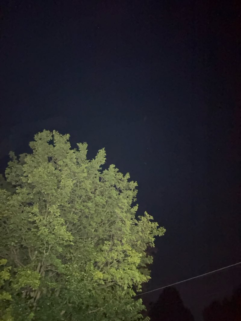 walking near me in Pike Memorial Park in autumn