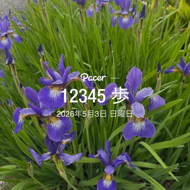 美和子 post 1