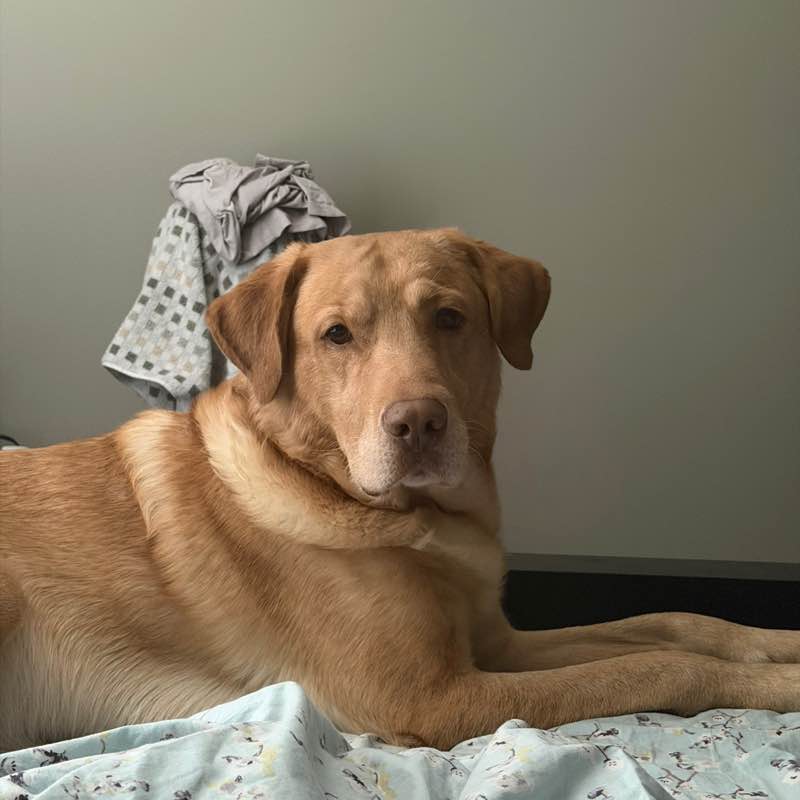 Lola post 1