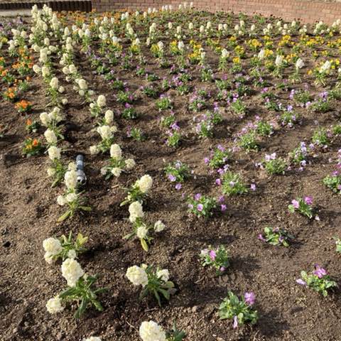 劉　徳花💐 post 2