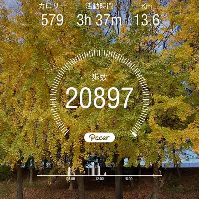 劉　徳花💐 post 1