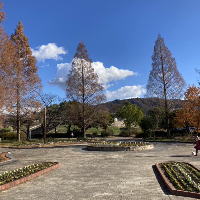 劉　徳花💐 post 3