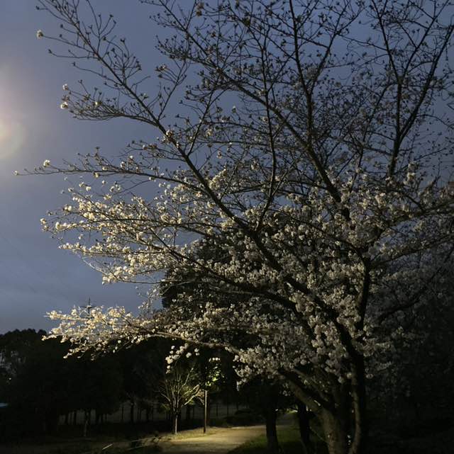 劉　徳花💐 post 2